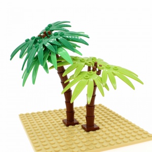 【Plant, palm trunk, #6135/2563】